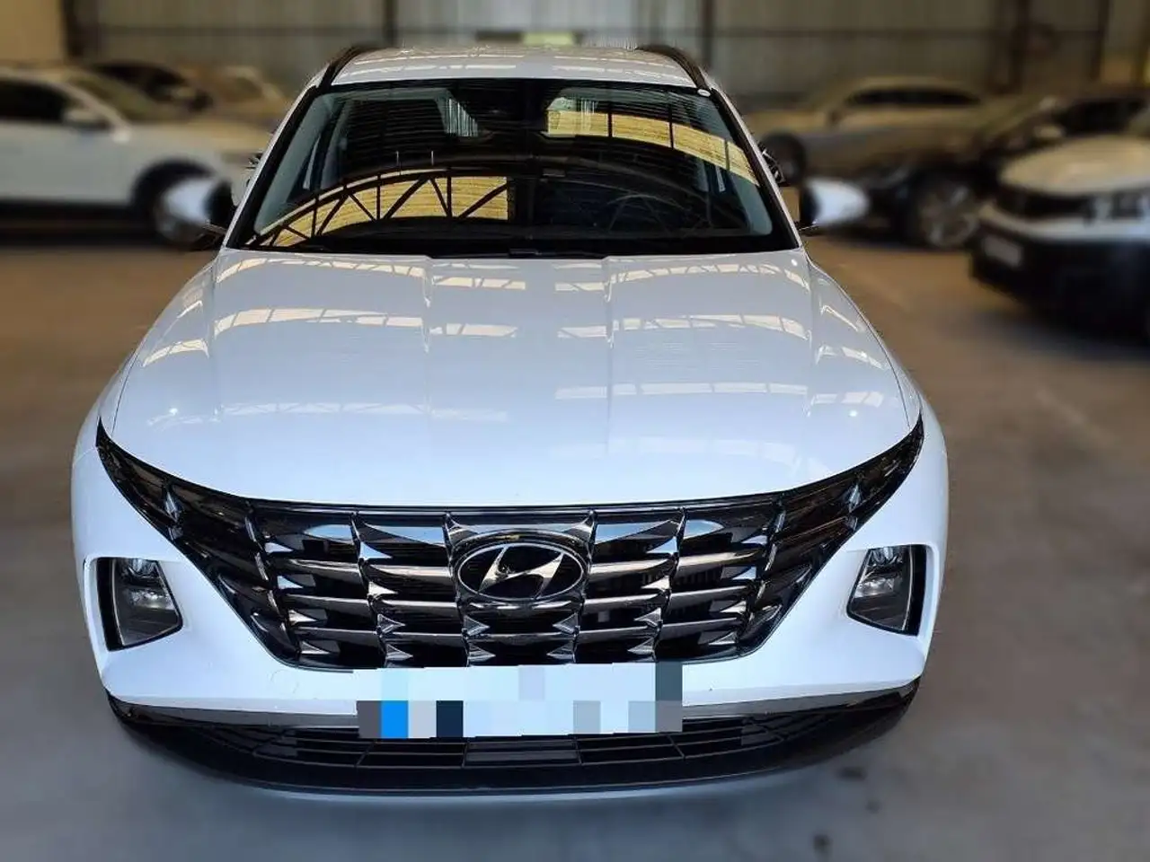1.6 CRDI 100KW (136CV) 48V MAXX
