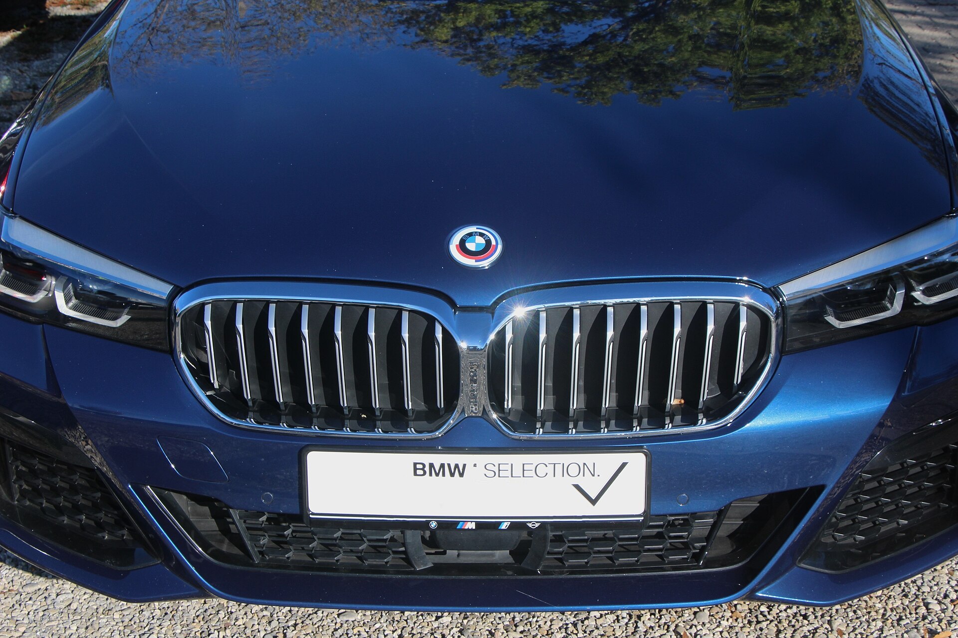 BMW Niere, BMW Fünfer G30 nach Modellpflege 2023 · Wikisympathisant · CC BY-SA 4.0 BMW Niere, BMW Fünfer G30 nach Modellpflege 2023