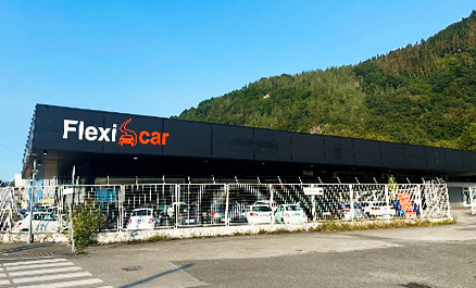 Flexicar Tolosa